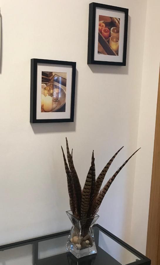 Apartamentos Olga Cantabria Polanco Exteriér fotografie